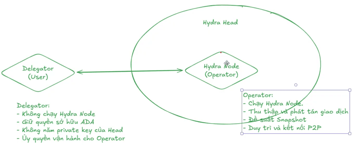 Operators & Delegators
